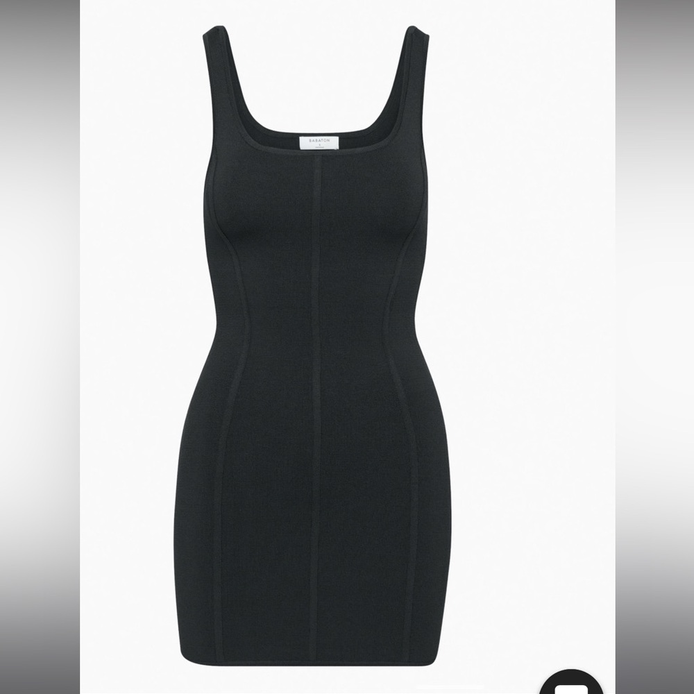 Aritzia Dress